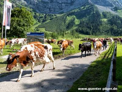 Wanderung Ahornboden-Falkenhütte