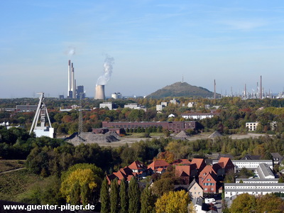 Halde Oberscholvel, Gelsenkirchen