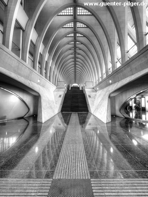 Bahnhof Liège-Guillemins