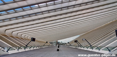 Bahnhof Liège-Guillemins