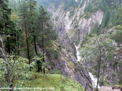 Blick auf dem Rückweg von der Forststraße in die Klamm.