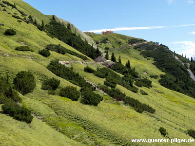 Die Alm ist in Sicht