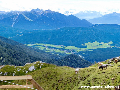 Blick ins Leutaschtal