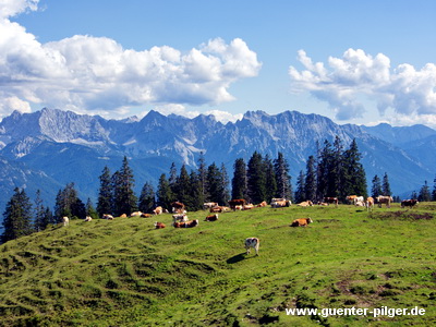 Krüner Alm