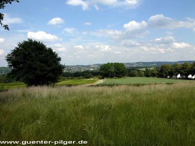 Blick Richtung Heisingen im Hintergrund