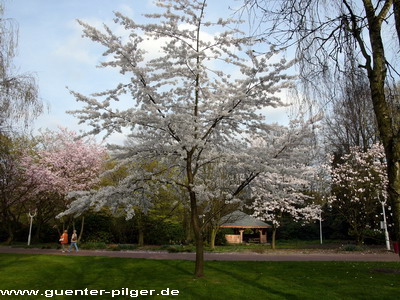 Frühling2