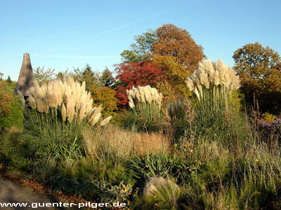 Herbst in der Gruga