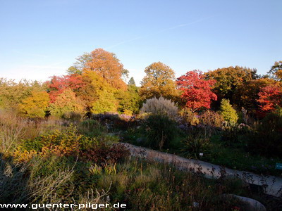 Herbst in der Gruga