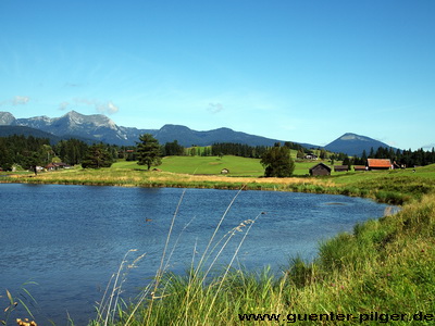 Schmalensee