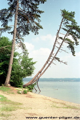 Starnberger See