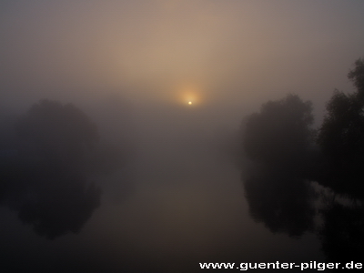 Ruhr bei  Horst, Sonnenaufgang im Nebel