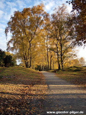 Herbst in der Westtruper Heide