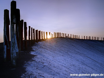 Halde Haniel bei Sonnenuntergang