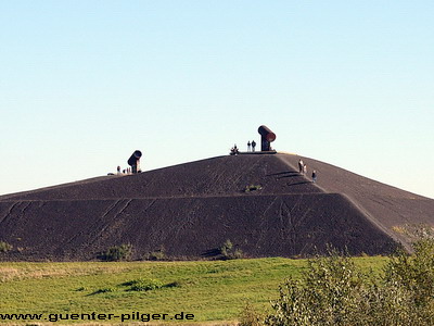 Der Haldengipfel