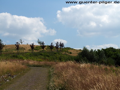  Ein Paradies für Pflanzen und Insekten