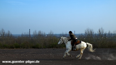 Reiterin auf der Halde