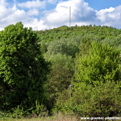 Halde Großes Holz, Bergkamen