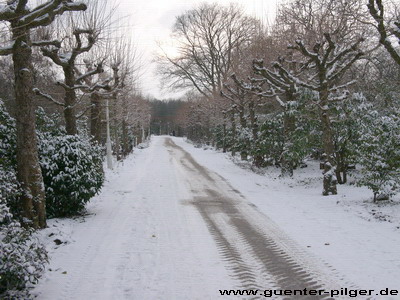 Verschneiter Weg